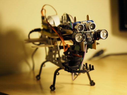 Raspberry_Pi's tweet photo. Your furry best friend may be cute, cuddly, and Instagram-ready at the drop of a hat (or ball of yarn), but can they stream live video like Petoi can? Learn more about this incredible feline robot in today's blog post: https://t.co/Qk7xlzmxte https://t.co/hIaQzKMySX