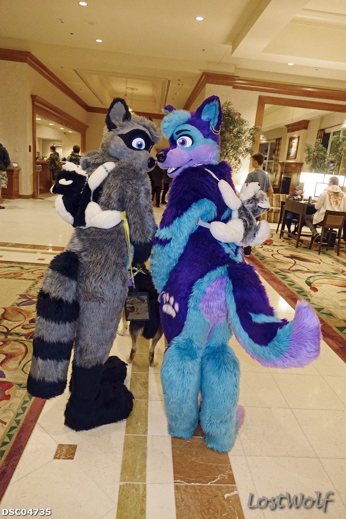 LostWolf321's tweet photo. It's @NightCoon &amp; @KenoTheHusky @rainfurrest #RF2014 https://t.co/nDyF2Yhxau