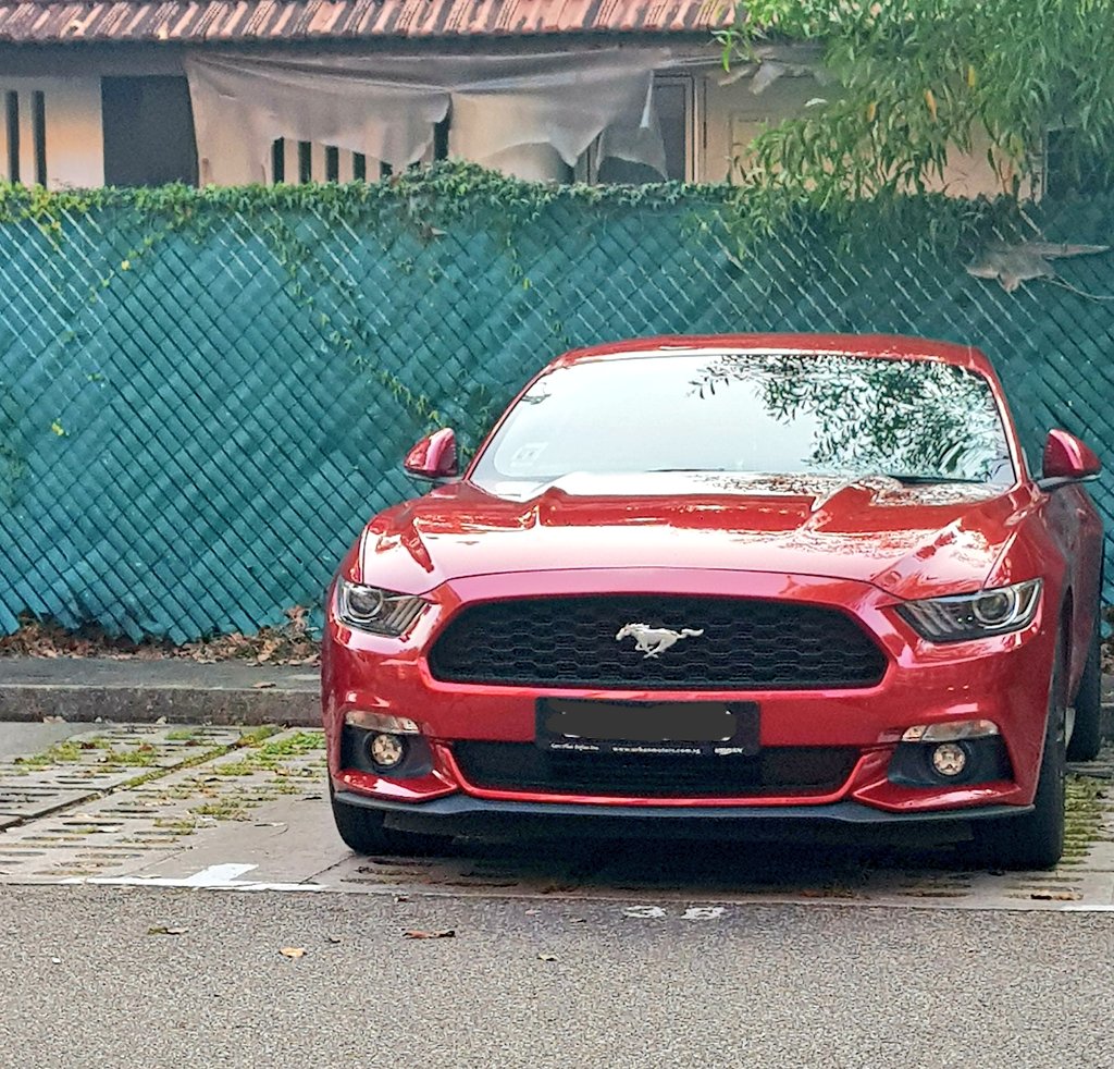 Sharizq1S's tweet photo. Ford Mustang just chilling
#Ford 
#Mustang 
#Singapore 
#carspotting
#carspot
#spotmore
#SGCS
#mr_carspotter https://t.co/dVmP22JITJ
