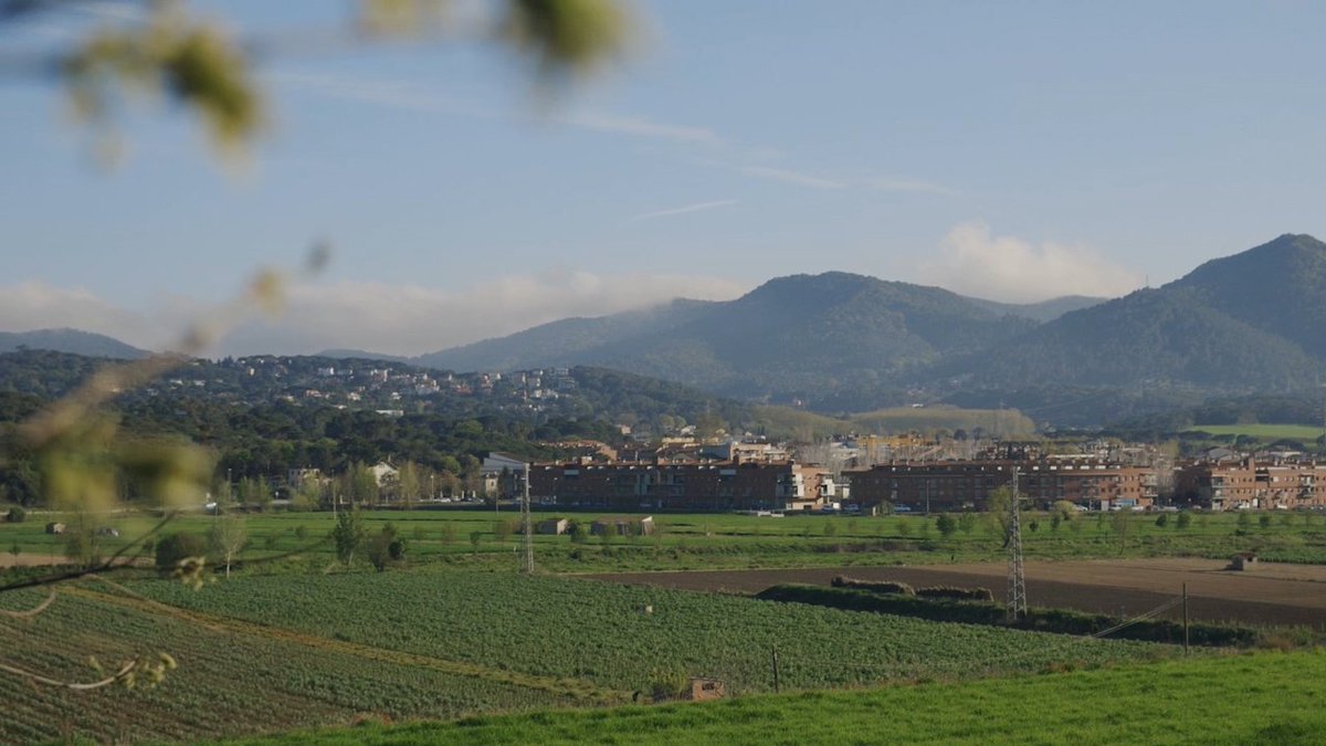 En Procés tweet media