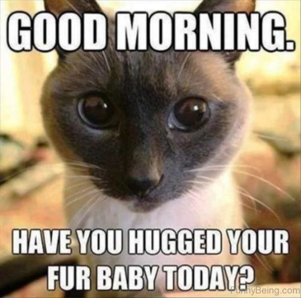 inmypjscreation's tweet photo. It's FURBABY RESCUE FRIDAY!!!

Post pics of your furbabies in the comments below!

This weeks Oklahoma Animal Rescue is Cowboys &amp; Angels Horse Rescue, Fndn.  Check out their page &amp; show it some <3!

https://t.co/297dt2W9hm https://t.co/qu7mgcIHIo