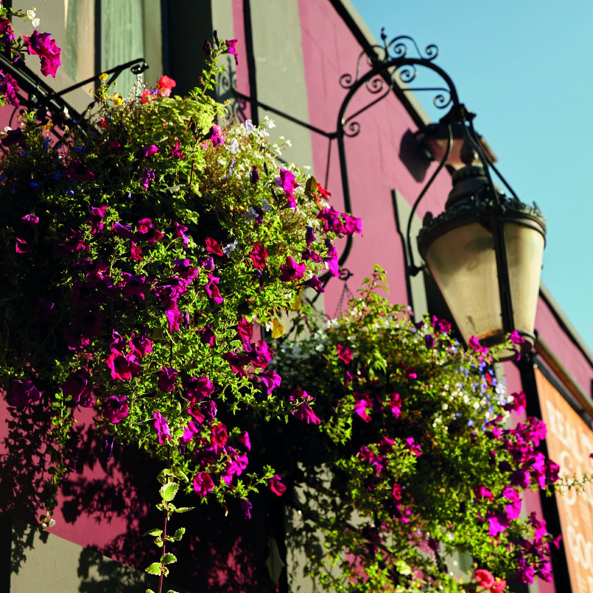 innonthegreenbr's tweet photo. We love seeing the flowers appear when the sun comes out, making #innonthegreenbr look beautiful! Who's been into the #beergarden to soak up some rays yet? Is Summer nearly here yet?
#pubsofgloucesterroad #bestpubinbristol #pubgarden #beergarden #exteriordesign #restaurant #iotg https://t.co/Oz9V4K0c1S