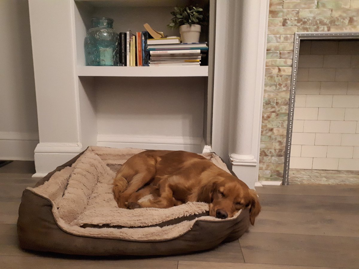 anastasiyacodes's tweet photo. Someone studied too hard for that React test. https://t.co/33m18PYGGl
