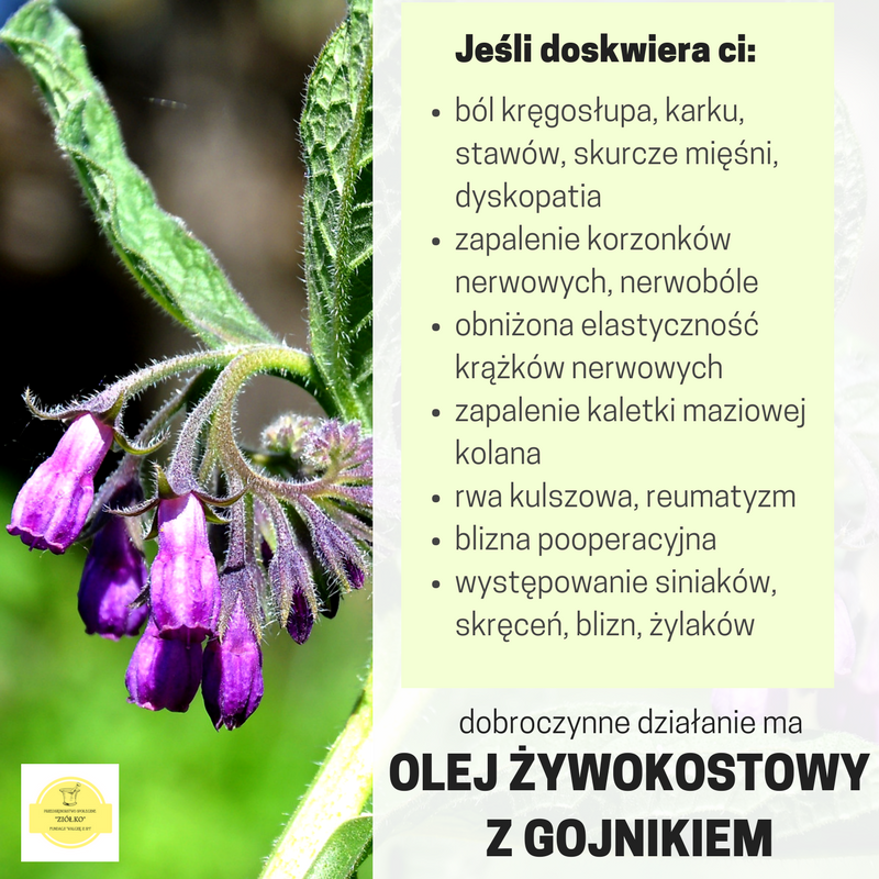 WalczeZSM's tweet photo. O znakomitych właściwościach, jakie ma #olejŻywokostowy z gojnikiem, przekonują dziewczyny z naszego Przedsiębiorstwa Społecznego ZIÓŁKO. Zapraszamy! #SklepZielarskoMedyczny -->https://t.co/ONyKuy0Oct https://t.co/LWH3sFQb5z