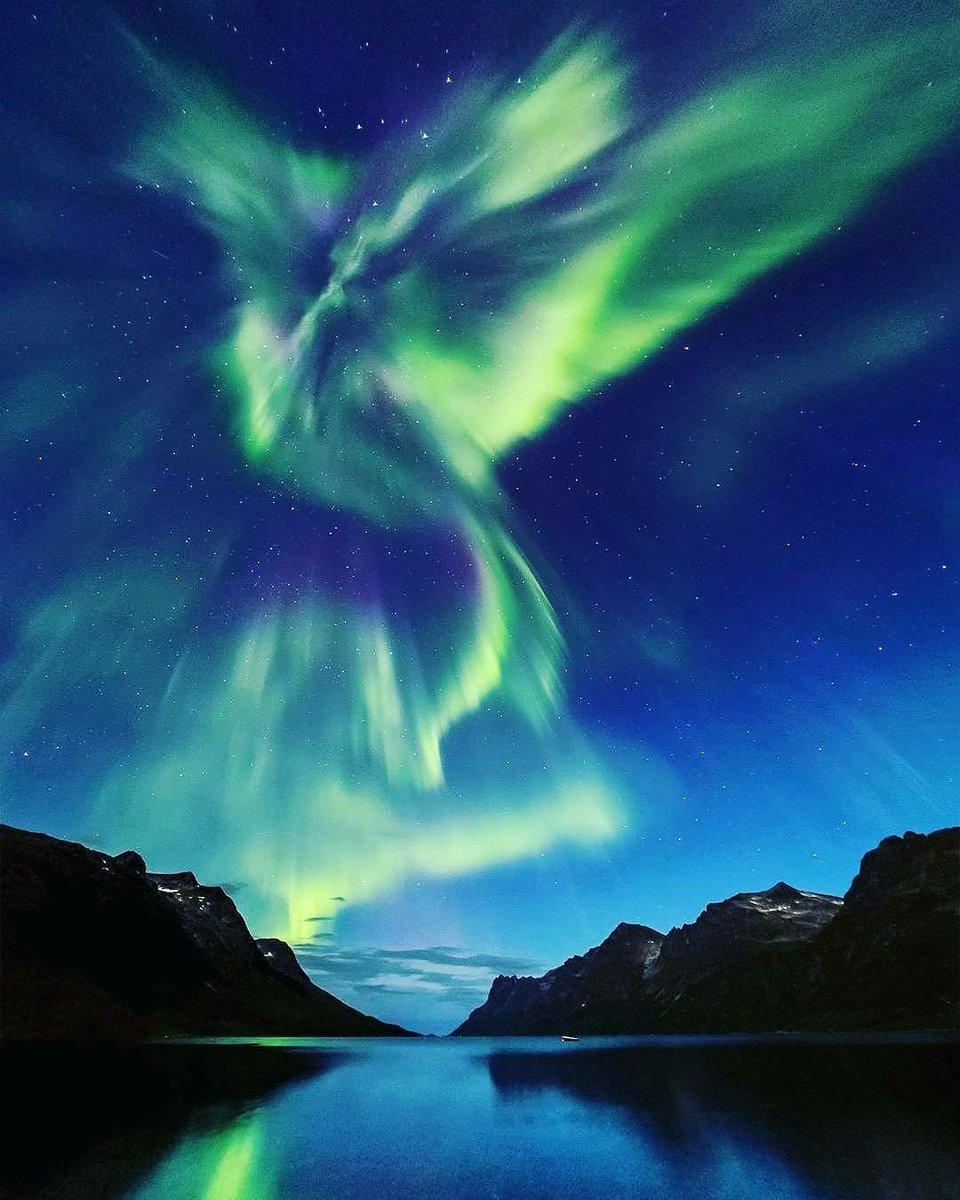 astrography__'s tweet photo. Retweet if you can see flying bird in Northern Lights shot.
#photography #astronomy
#Astrophotography #aurora #arctic #Norway #AuroraBorealis #NorthernLights #astrography__ https://t.co/iFsKqs7ihL