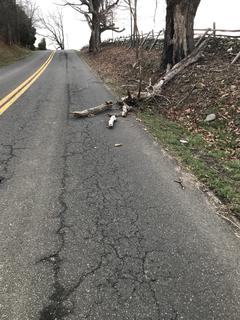 MiddleburgPD's tweet photo. Expect this on your commute today and tomorrow.  High winds=down trees.  Be safe https://t.co/VHBLrfJ6DT
