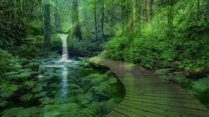 TheYogologist's tweet photo. JOURNEY
#ThoughtOfTheDay  #Nature https://t.co/hri0B7dGau