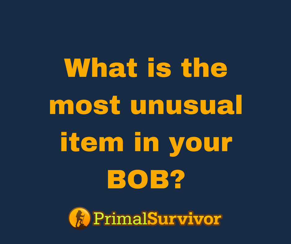 PrimalSurvivors's tweet image. #BOB #buggingout #prepping #disasterplanning #primalsurvivor