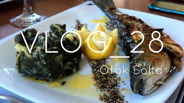 45degreessail's tweet photo. Vlog 28 is out! Check out more footage of our day sail, BEFORE the freezing cold snap covered Croatia in snow! Link in our bio. And don’t forget to subscribe!!! #unashamedfoodporn #goodfood #dalmatianfood #freshfish #kaimoana #blitva #vlog28 #vlog #vlogging #youtube #youtube… https://t.co/4gnG9tL7N1