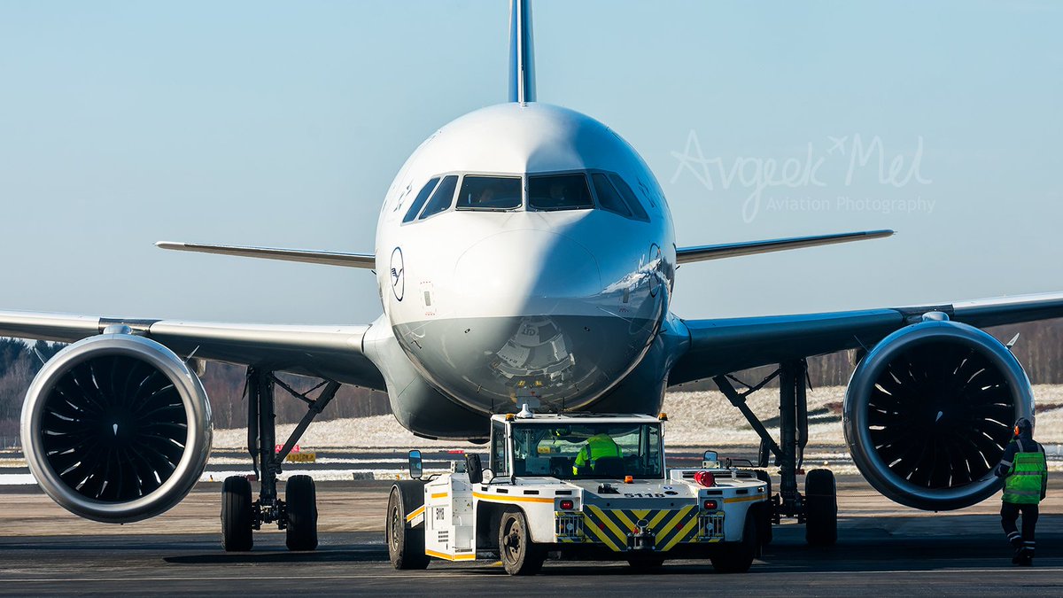 Avgeek Mel tweet media