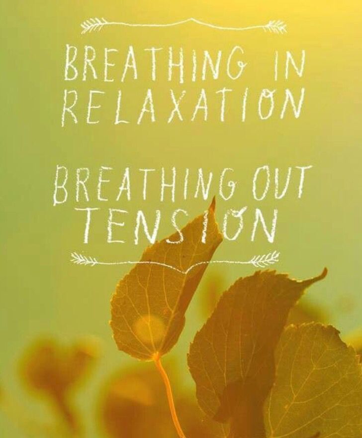 NutriHyp tweet media