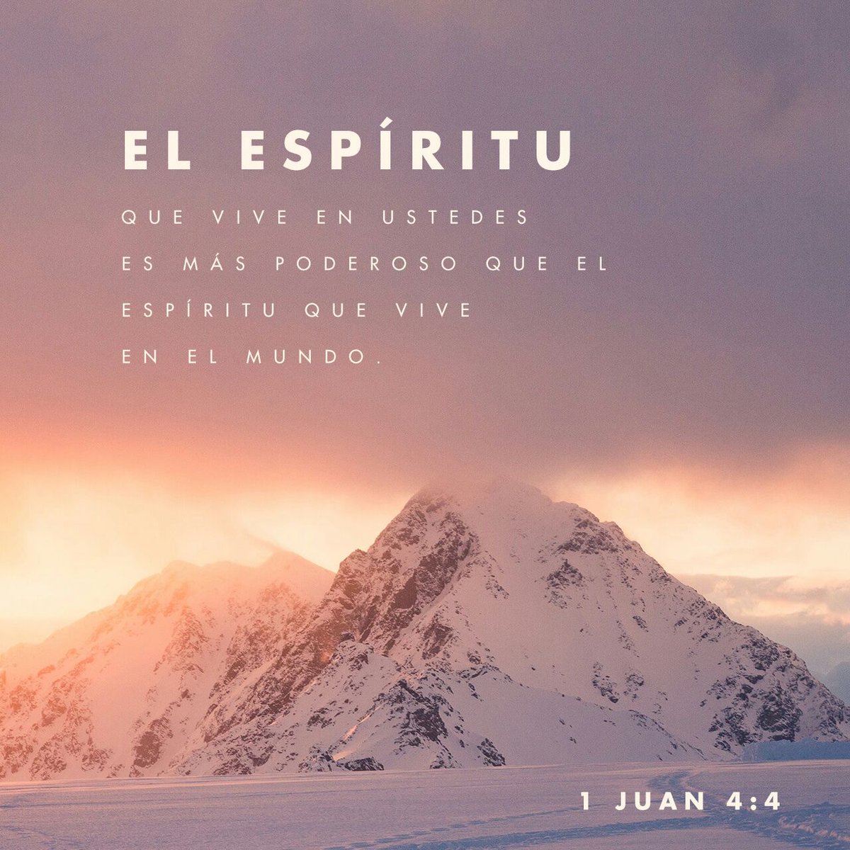 kittyvaldes_08's tweet photo. Hijitos, vosotros sois de Dios, y los habéis vencido; porque mayor es el que está en vosotros, …
https://t.co/TAfugPV41h https://t.co/1Wijd2sEOr