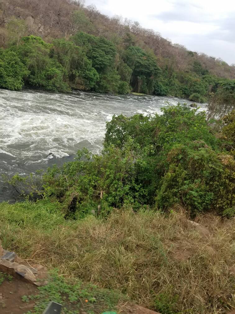 uganda_sgd's tweet photo. Uganda 🇺🇬 🔥 https://t.co/f5VuJSXc3C