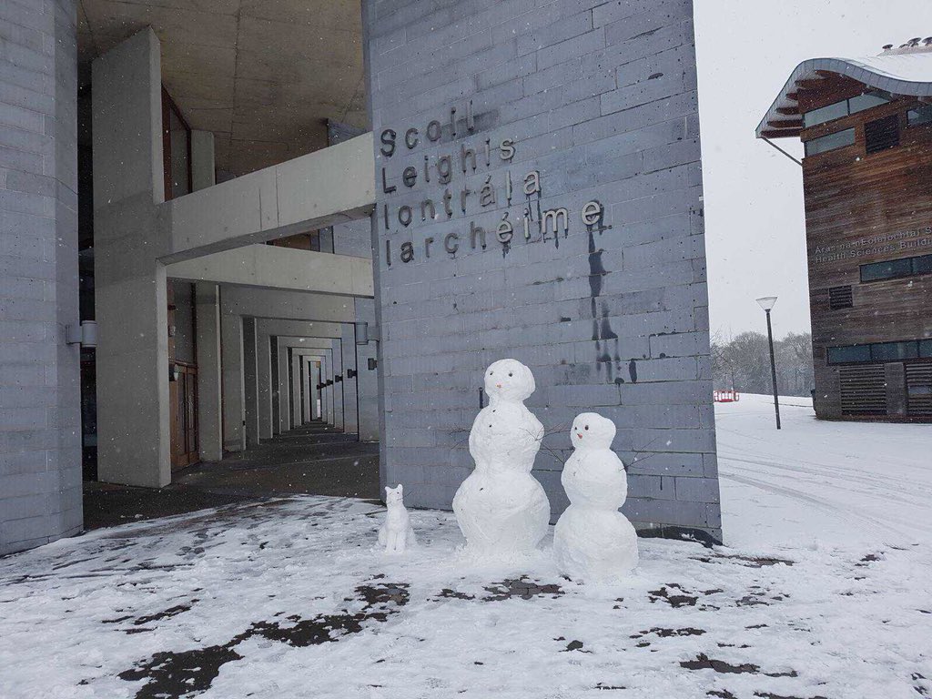 UL's tweet photo. Yes, that’s two snow-people and a snow-cat outside the Graduate Entry Medical School. ⛄️⛄️🙀 #StormEmma #TheBeastFromTheEast https://t.co/YDWF5lWNBT