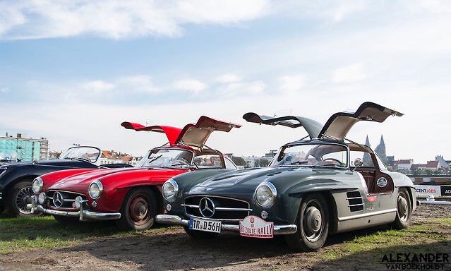 FAFBulldog's tweet image. 