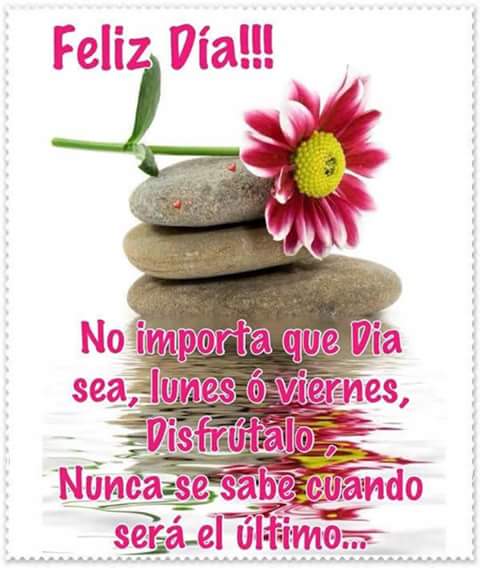 Ji120Jose's tweet photo. Buenos Dias....... https://t.co/L57CL8FPhW