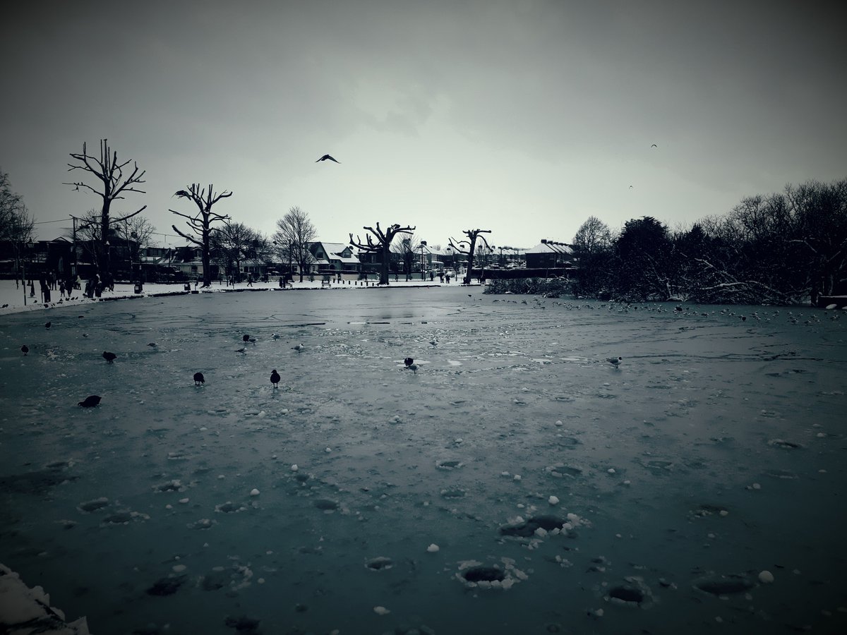 The lough today #CorkSnow #CorkCity #TheBeastFromTheEast