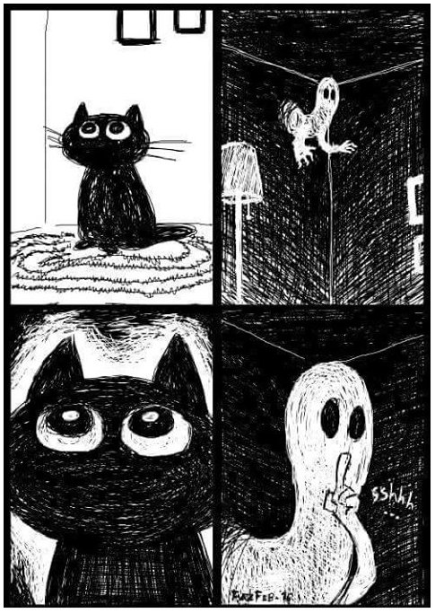 ElenaDiazGarcia's tweet photo. #cats https://t.co/yY8UxphFzk