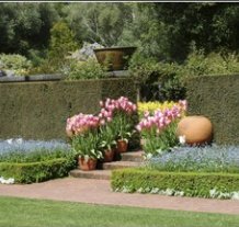 Looking for some bare root hedging to get your garden ready for spring? Look no further! bit.ly/2EMKh0E
