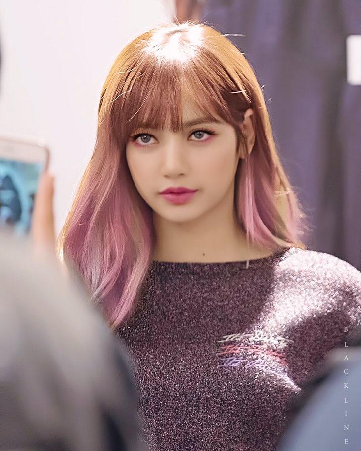 Lední Medvěd Směšný Brouk Blackpink Lisa Pink Hair Jáma Číst Soudce