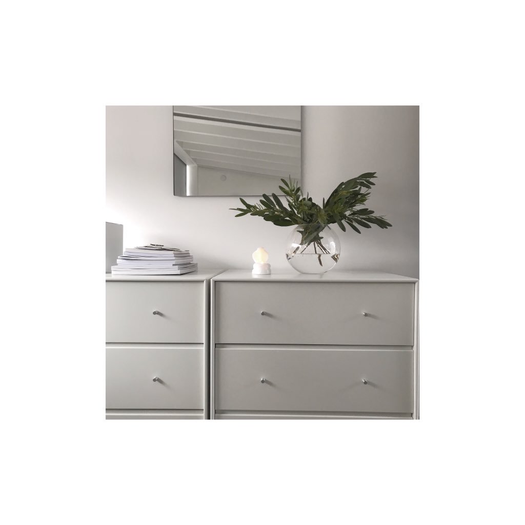 All_D_I's tweet image. Spring is far away but feels closer after founding these olive branches during lunch, now warming the studio/office with a green hue #designstudio #studiodesign #studiodecor #interior #interiordesign #olivebranch #style