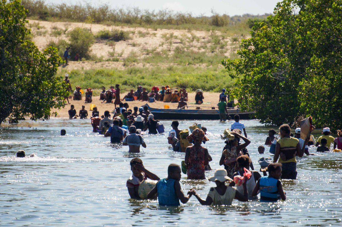ReefDoctor's tweet photo. Last Friday, our Honko team with the VOI Mamelo Honko and COUT planted more than 35.000 mangrove saplings, covering an area of 5 hectares. Great mangrove restoration step! #mangrove #restoration #reforestation #communities #honko #saplings #planting https://t.co/Z7NhWaWX4y