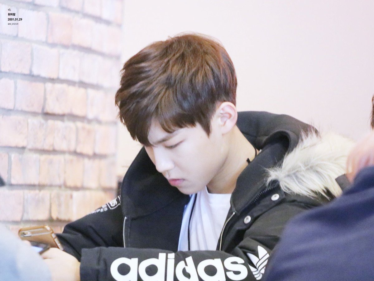 stfuwoojin's tweet photo. adidas should hire woojin as their brand ambassador bc brO he's promoting adidas better than ur promotion team ok look at that consistency https://t.co/LO2RtGYpm7