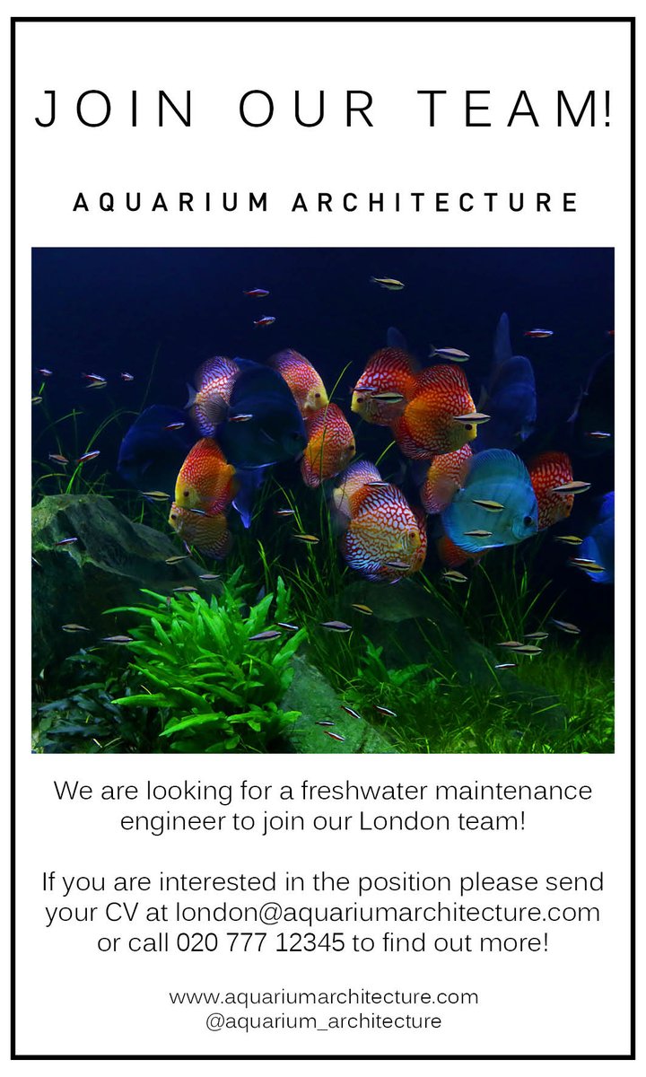 AquariumArch's tweet photo. Join our team! #aquariummaintenance #job #fishtankmaintenance #fishkeeping https://t.co/xWM2kXBJeO