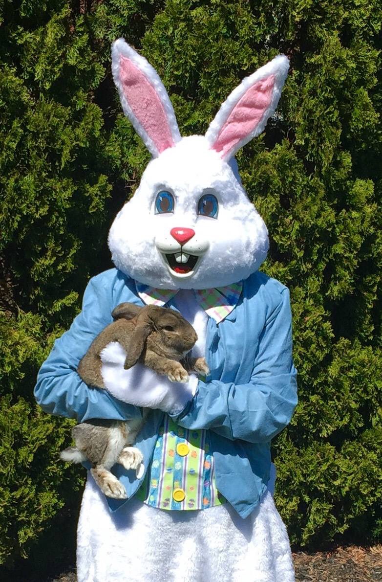 MilkyWayFarmTN's tweet photo. The Hayride Easter Egg Hunts return March 10 &amp; 11th. 
Reserve your spot today💚 
https://t.co/ozvJRRJN9C https://t.co/6hzxB3m0Ce