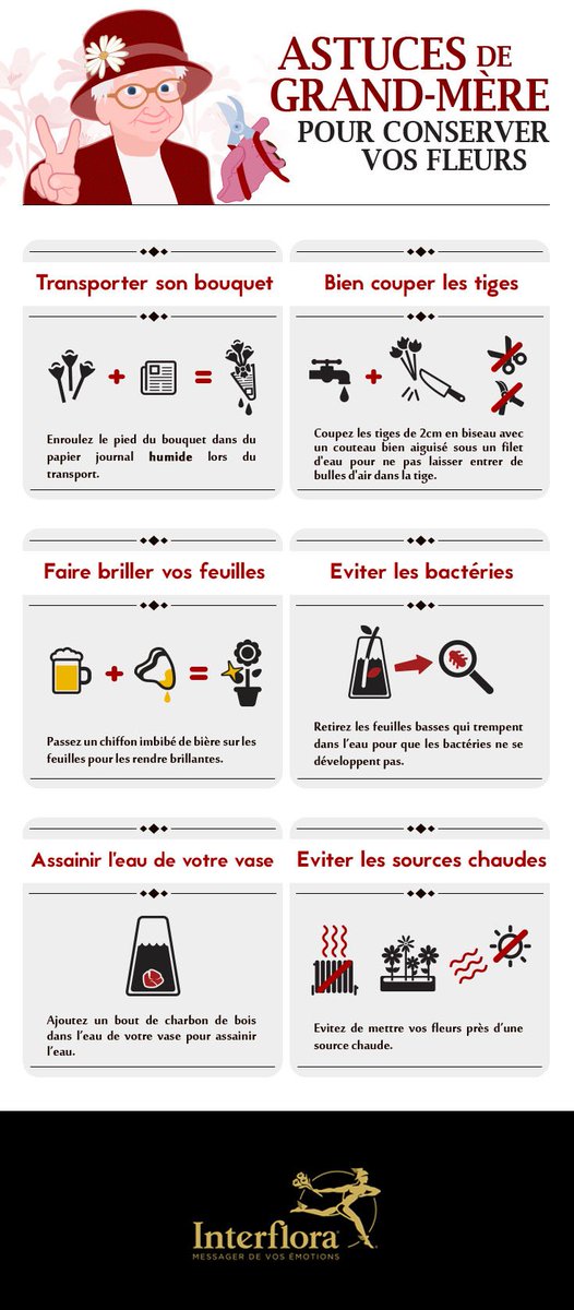 6 astuces de grand-mère pour entretenir vos fleurs 💐
#fetedesgrandsmeres