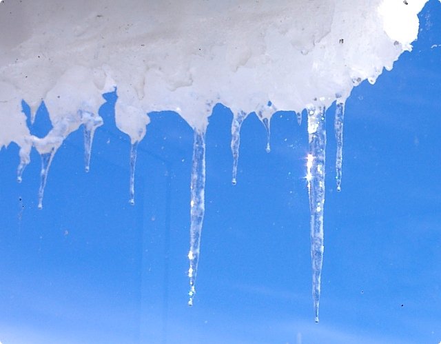 gryphonsportscentre tweet media