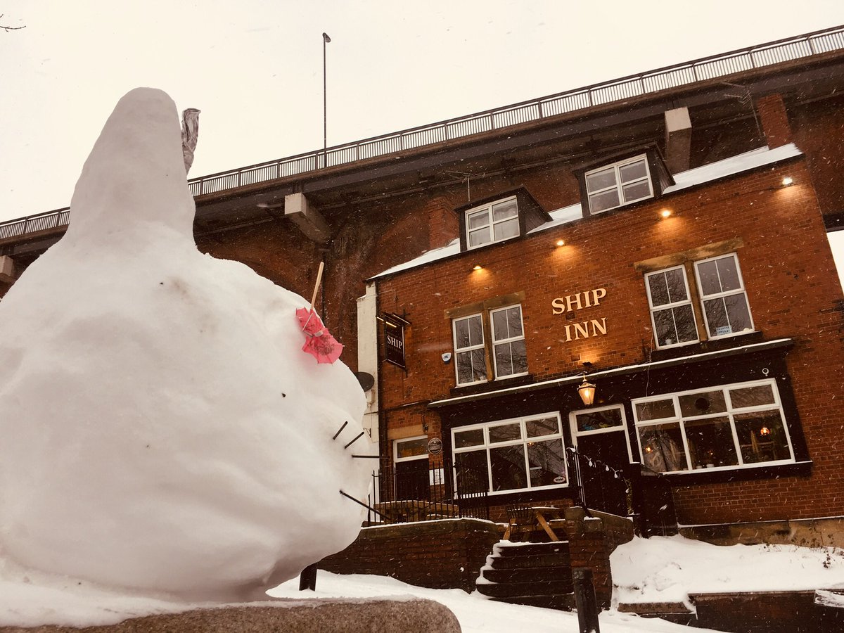 Snowy cat says WE ARE OPEN! Kitchen 12-9pm with some new dishes on the menu. Check out our instagram <a href="/ShipOuseburn/">ShipOuseburn</a> for updates #weareopen #BeatTheBeast