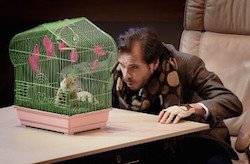 ResMusica's tweet photo. Le Mystère de l’écureuil bleu ouvre mon premier festival d’opéra
https://t.co/dDmM6C4bZ1
@MarcDupin @Opera_Comique @Frivolitesparis 
#ArmelleKhourdoïan https://t.co/OrI8U6Kh3b
