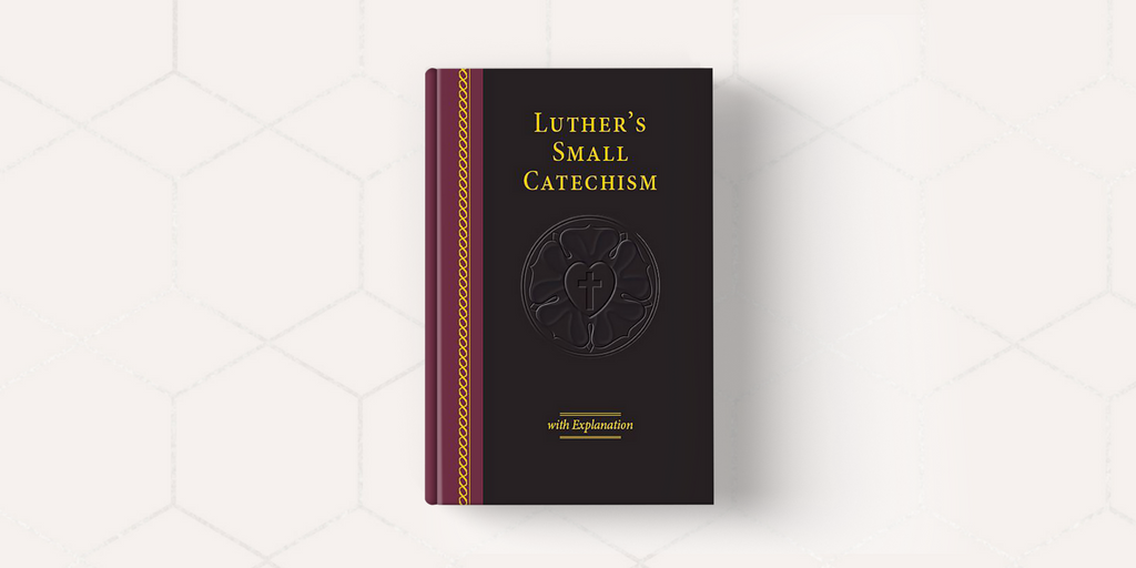 Catechism2017's tweet photo. 2017 Explanation of the #SmallCatechism helps interpret God’s Word faithfully in the midst of changing times. https://t.co/pLCSCpgOIj https://t.co/nvAEtipdlV