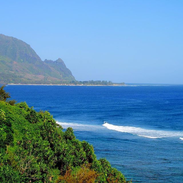 bigymhong's tweet photo. Bali Hi #kauai #northshorekauai #balihi #mahalo #hanelibay #photooftheday #pictureoftheday #picoftheday  #mountain #mountains #nature #palms #princeville #Hawaii #princevillekauai #princeville #canon https://t.co/yvasCJuZrY https://t.co/9lYdpf5vKp