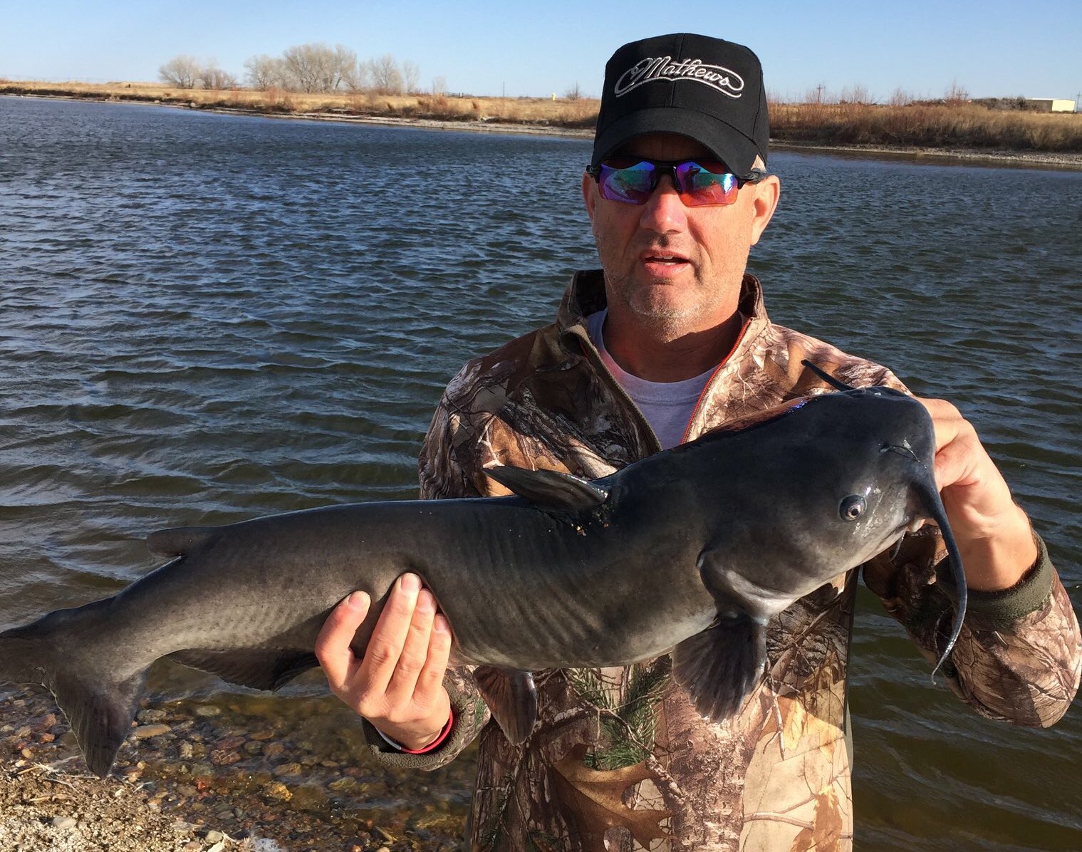St. Croix Rods on X: “I caught this catfish with my St. Croix Trout Series  rod on old 4# test line. He sure gave this rod a workout. Who said it was
