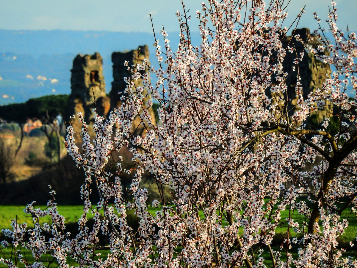 parcoappia's tweet photo. #seguilavolpe è tornato: on-line il Programma di visite guidate ed eventi Primavera-Estate 2018! Aprite l'agenda e prendete nota! https://t.co/IcmSPCNk42 @RegioneLazio @visit_lazio https://t.co/YCXm394qzZ
