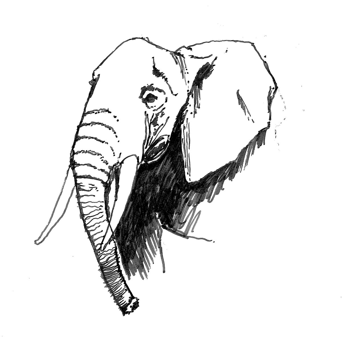 NBBJDesign's tweet photo. NBBJ is proud to make strides to end gender discrimination, from policies outlined in @curbed by CFO Juli Cook (https://t.co/nJDrX5cAnE), to supporting the @LFArchitecture Elephant Campaign (sign up at https://t.co/5mVUH0jscz) #seetheelephant #LFA2018 https://t.co/HXeZ9nwXUq