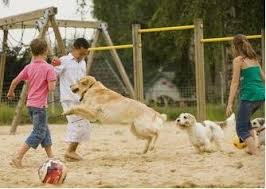AffordableChild's tweet photo. Not to mention, having a #pet is just #FUN!!! https://t.co/iGnOFgZBTQ