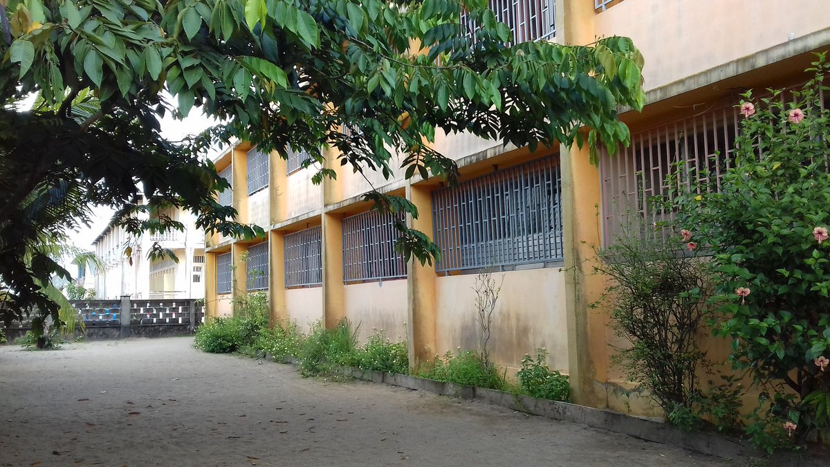 canope_973's tweet image. 📹 Suivi du projet #webdocumentaire à l&apos;école Caman à Saint-Laurent-du-Maroni 👍 #EDD #ODD #Guyane #Maroni #architecture