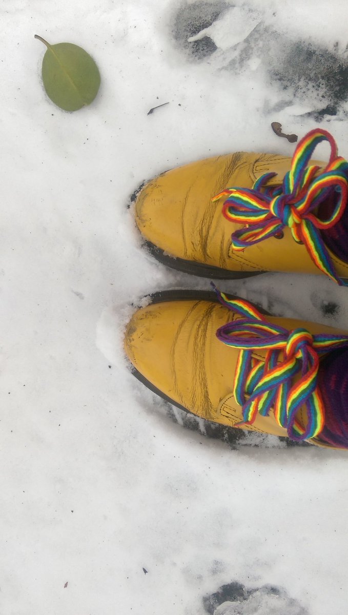 lucyajmmoore's tweet photo. Road tested my @LeedsCC_LGBT laces today!
Verdict - too long for my yellow docs! Solution - double bows OR new @drmartens ??🎉🎉🎉
#roadtest #snowtest #uksnow https://t.co/diYDGGFtCI