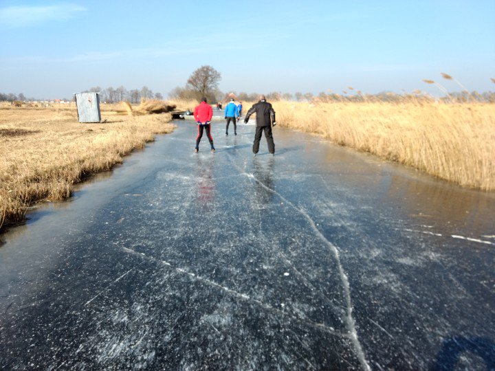 Hans Geerts tweet media