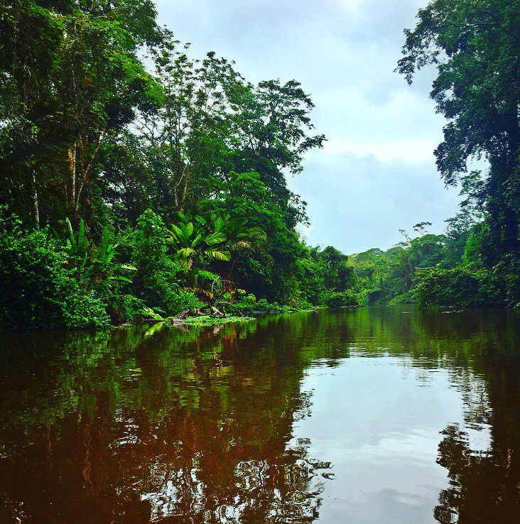 foreign_aussie's tweet photo. Why you absolutely MUST visit Tortuguero https://t.co/ugOrgOWx5R https://t.co/lYMepGAV4v