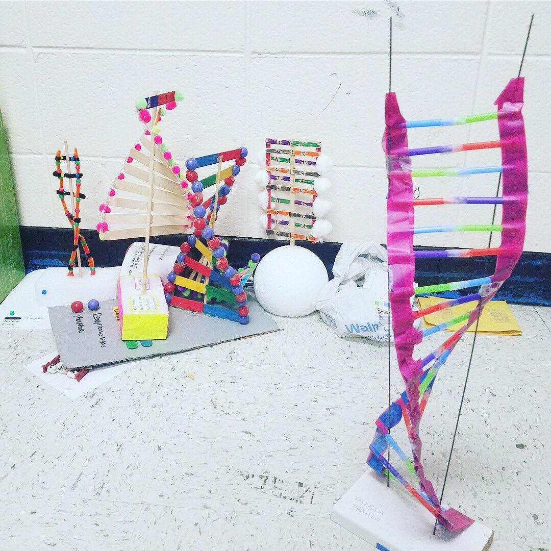 PCBOE's tweet photo. RT PCIntermediate "The Tydings Team, who is learning about DNA, created models of a double helix DNA structure. 🔬 #STEM #PCISlearns #sharePCS https://t.co/YXjWYrcXEW"