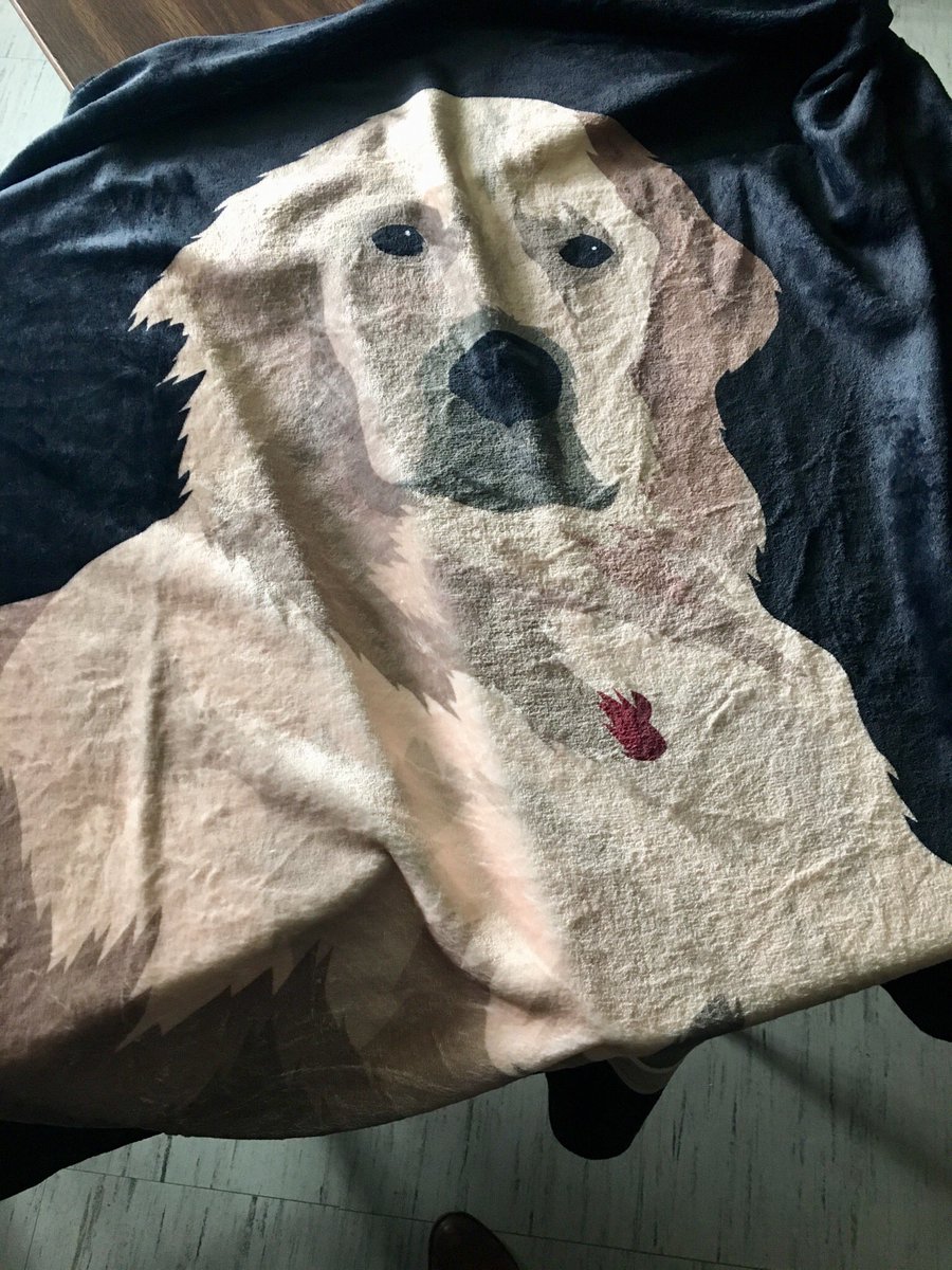 Lucky to have students who love my dog almost as much as I do😉...thanks <a href="/ellahopee/">ella hopee</a> for the blanket - Chipper loves it!