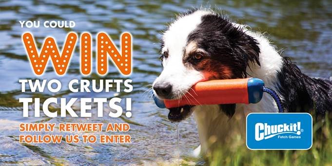 ChuckitUK's tweet photo. Time's ticking for our #Crufts ticket #giveaway! 

Enter now by following our page and RTing this tweet to be in with the chance of winning TWO TICKETS TO CRUFTS 2018. #ChuckitComp #Crufts2018 @Crufts https://t.co/2MFJlTuMWY https://t.co/iAUj2jfmUB