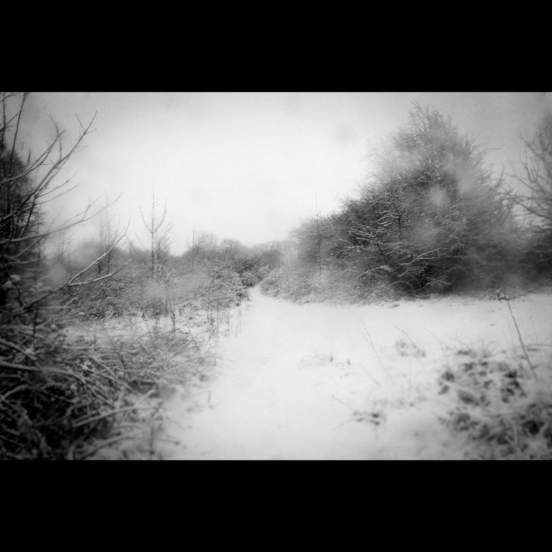 eyeseen's tweet photo. 'The other side of the sky' artist book. In a dark time the eye begins to see.  I here my echo in the echoing wood- @EDPimages The second coming.. #photobook #artist #mono #landscapestories #blackisbeautiful #kent #uk  #artistbook #visualartist #photobook #snow #bnw #aldington https://t.co/AUZaRc3T9U