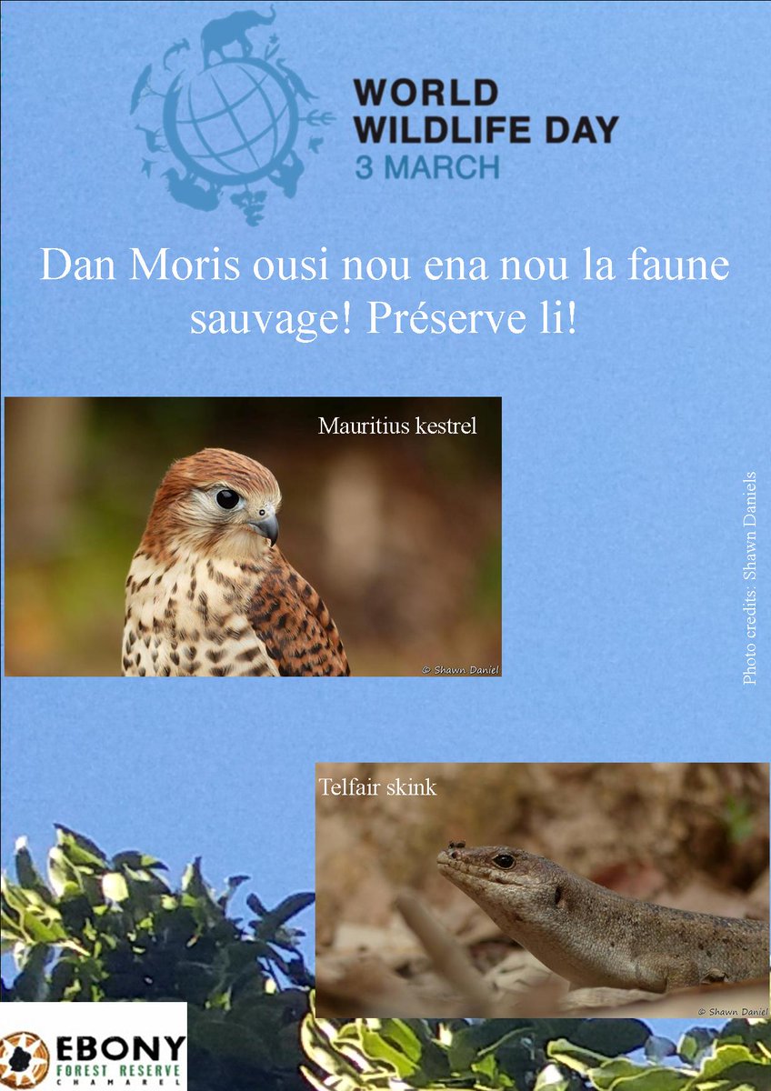 Ebony Forest Reserve tweet media