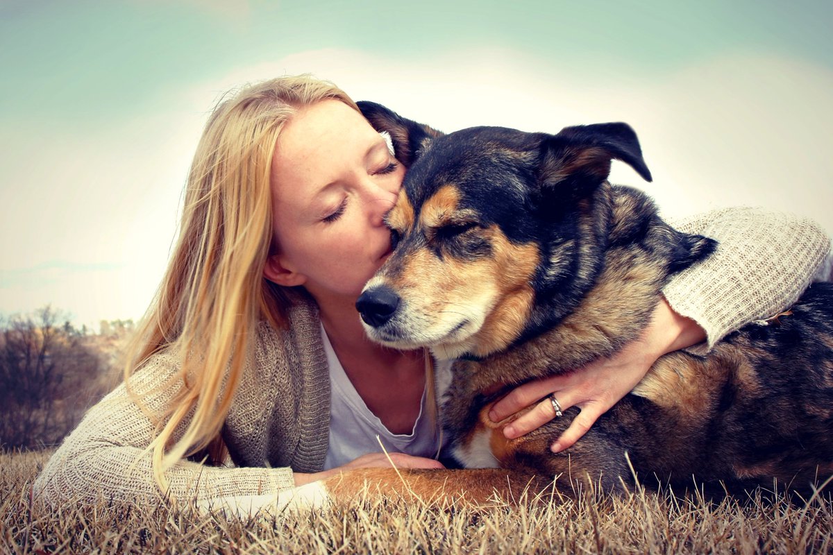 cherylwk1's tweet photo. Why pet owners will risk their own lives to save Rover’s
https://t.co/gGR0DNXNna #MAPOR #WAPOR #drudge_report #ASPCA #TODAYPuppy #TheDailyKitten #NBC #YahooLifestyle #HarrisPoll #buzzfeed #HuffPost #TheDailyBeast #USAToday #Parade #mic #Axios #Guardian #Bloomberg #WashPost #TIME https://t.co/U2k0XhD5B6