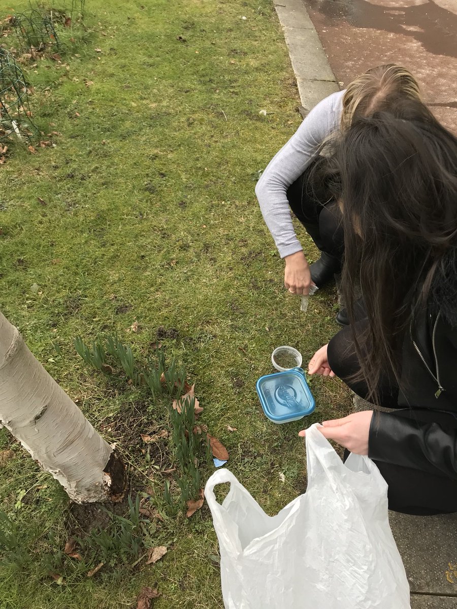 Kit Sampat (@kit_sampat) on Twitter photo Releasing our creepy crawlies back into the wild after some live imaging. Come to #meetthescientist on 17th March to see these bad boys magnified! #ethicalresearch <a href="/dn_mason/">David Mason</a> @RebeccaKel2 <a href="/CCI_liv/">CCI Uni of Liverpool - cci-liv.bsky.social</a> Releasing our creepy crawlies back into the wild after some live imaging. Come to #meetthescientist on 17th March to see these bad boys magnified! #ethicalresearch <a href="/dn_mason/">David Mason</a> @RebeccaKel2 <a href="/CCI_liv/">CCI Uni of Liverpool - cci-liv.bsky.social</a>